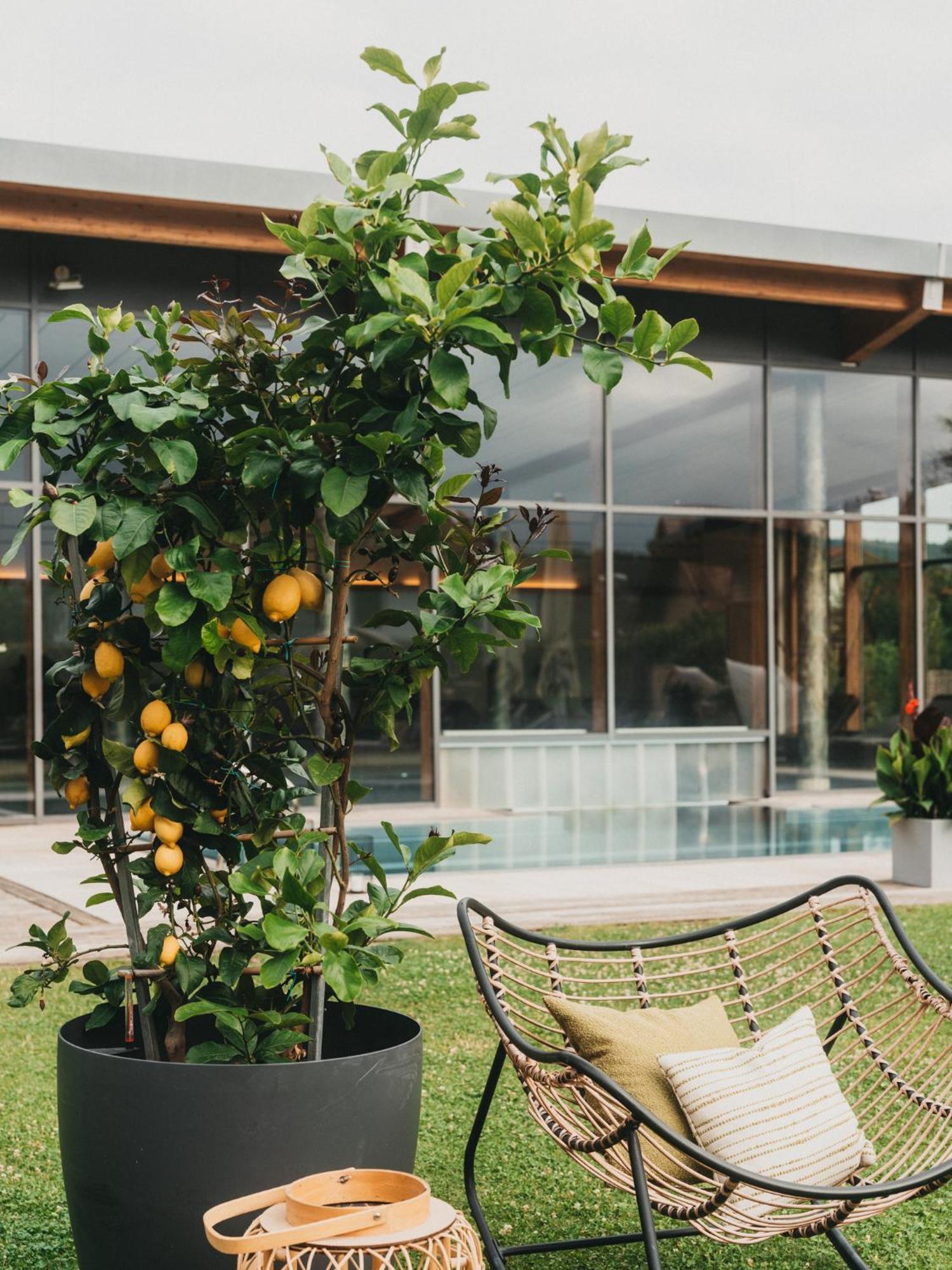 Hotel Eibl Фрауенау Екстериор снимка